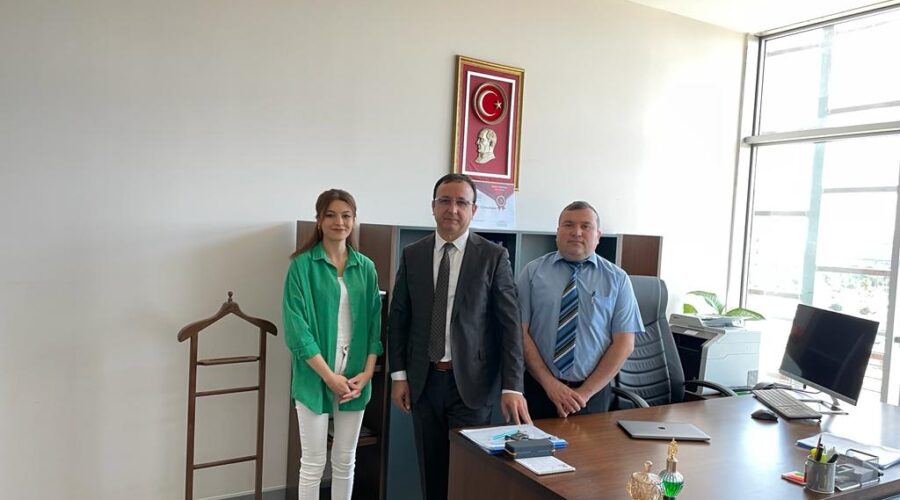 95a154a9-a7de-43c4-a350-47c4ad978074