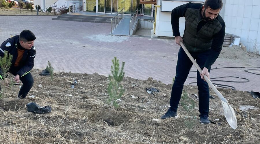 35e4ad29-5e1a-476d-ae96-b291cc16c664-1